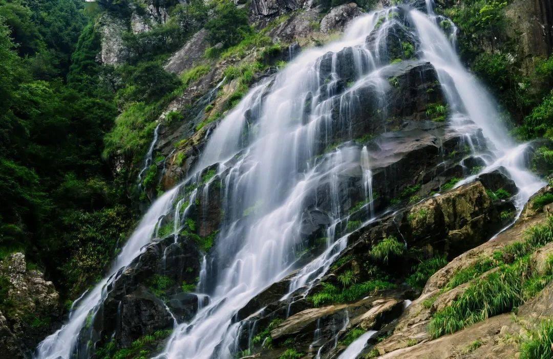 春雨直播app