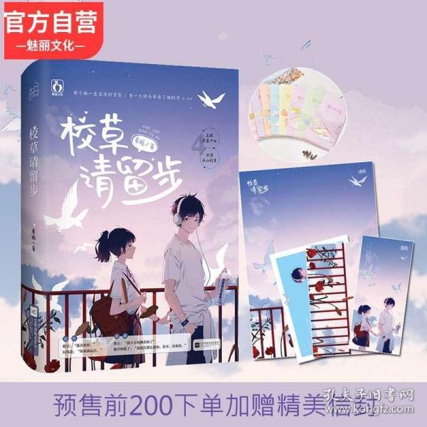 笑脸球的冒险之旅